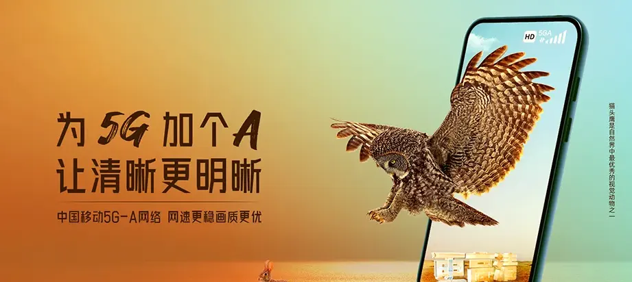 徐水区徐水区大王店镇 移动宽带